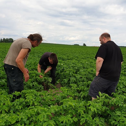 Bossgårds Potatis, Väster om Linköping