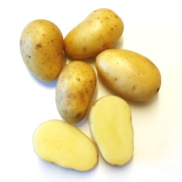 Ekologisk Amandine