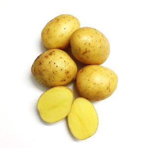 Mjölig potatis