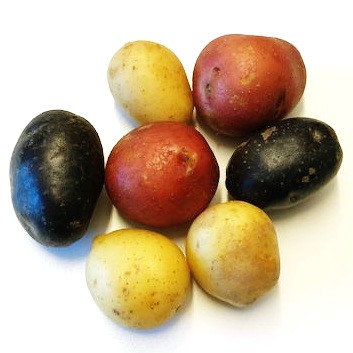 Mixpotatis