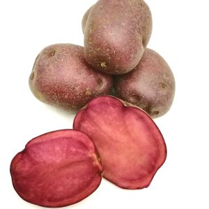 Mullberry Beauty
