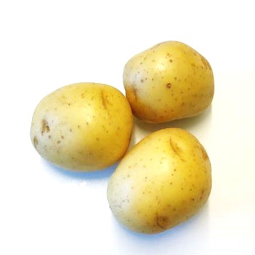 Tvättad fast potatis